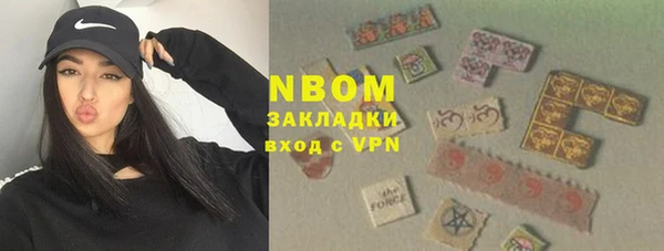 ПСИЛОЦИБИНОВЫЕ ГРИБЫ Коряжма