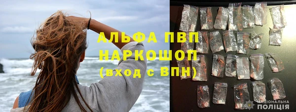 ПСИЛОЦИБИНОВЫЕ ГРИБЫ Коряжма