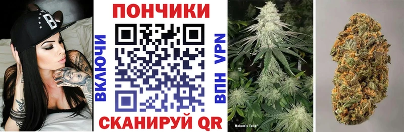 Бошки Шишки Amnesia купить наркоту мега маркетплейс Братск